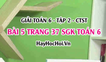 Giải bài 5 trang 37 Toán 6 Tập 2 SGK Chân trời sáng tạo